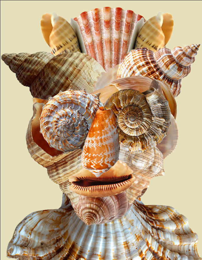 A portrait assembled entirely from photographs of seashells