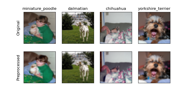 Grid comparing four original dog images to their standardized versions