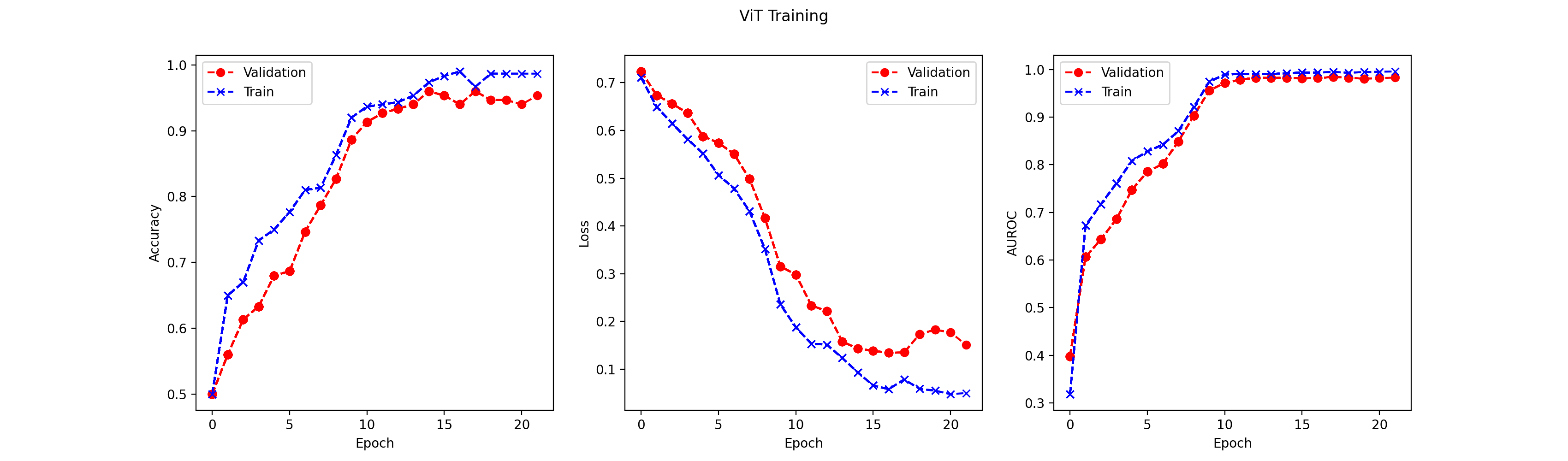 Vision Transformer training and validation curves